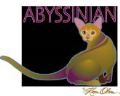 【カレン・オルソン】伝統猫シリーズ　アビシニアン　Abyssinian