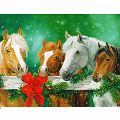 馬のミニクリスマスカード
