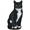 【アデリーン・ハルヴァーソン】Tuxedo Cat