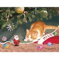 【パーシス・クレイトン・ウエアース】猫のクリスマスカード・ボックス　マイロ